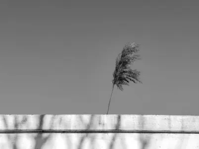 Casino Classy Slots Aip Soghluaiste